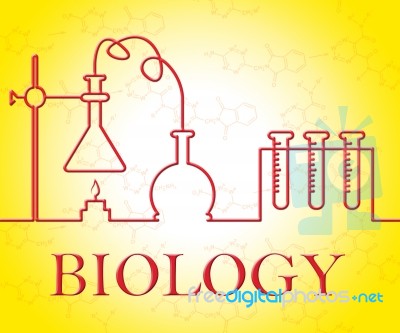 Biology Experiment Means Researcher Test And Investigation Stock Image