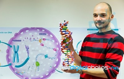 Biology Teacher Showing Dna Stock Photo