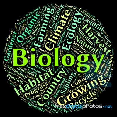 Biology Word Indicating Plant Life And Fauna Stock Image