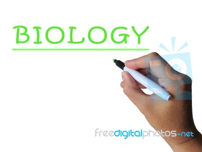 Biology Word Shows Study Of Animals And Plants Stock Image