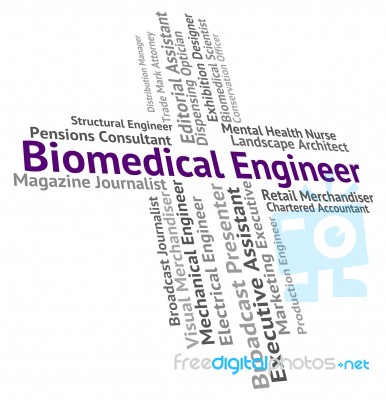 Biomedical Engineer Indicates Biomedicine Work And Words Stock Image