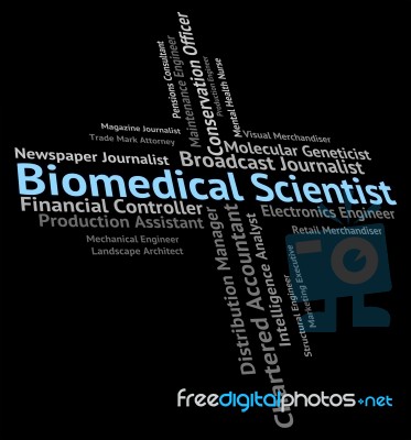 Biomedical Scientist Showing Jobs Hire And Employee Stock Image