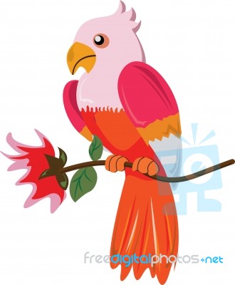 Bird And Flower Stock Image