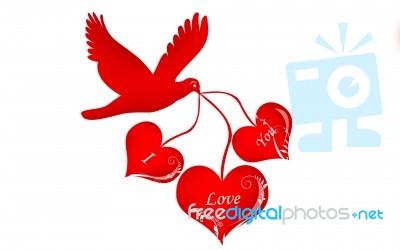 Bird And Love Symbol Stock Image