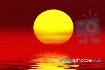 Bird Flying Into The Sunset Stock Photo