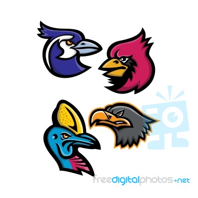 Bird Wildlife Mascot Collection Stock Image