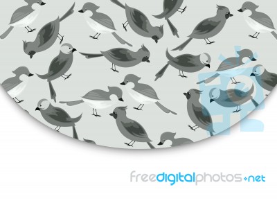 Birds Cartoon Pattern Stock Image