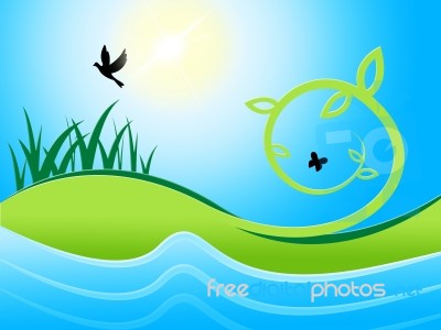 Birds Sea Shows Water Grass And Meadow Stock Image