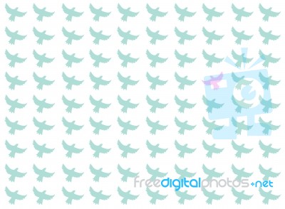 Birds Seamless Pattern Stock Image