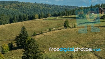 Bistrita, Transylvania/romania - September 18 : A Farm Near Bist… Stock Photo