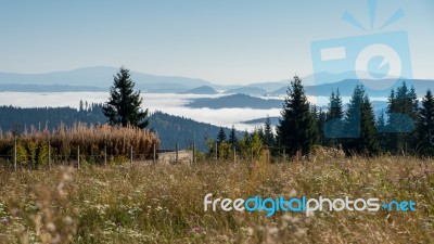 Bistrita, Transylvania/romania - September 18 : A Farm Near Bist… Stock Photo