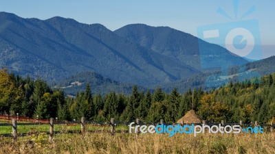 Bistrita, Transylvania/romania - September 18 : A Farm Near Bist… Stock Photo