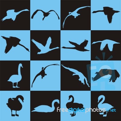 Black And Blue Background With Swans Stock Image