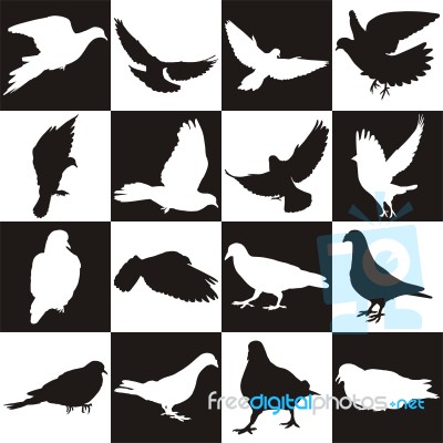 Black And White Background With Doves Stock Image