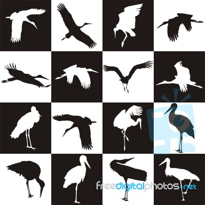 Black And White Background With Storks Stock Image