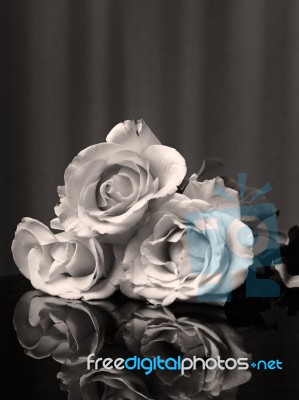 Black And White Three Roses Stock Photo