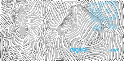 Black And White Zebra Background Skin With Heads Stock Image