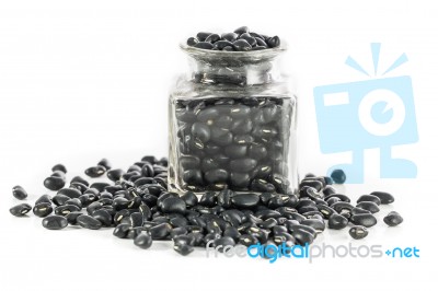 Black Beans Stock Photo