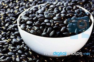 Black Beans  Stock Photo