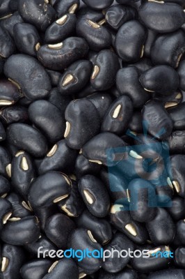 Black Beans Stock Photo