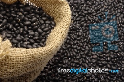 Black Beans Stock Photo