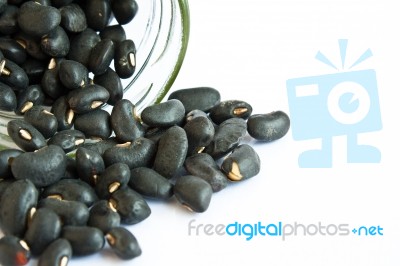 Black Beans In A Bottle On White Background Stock Photo