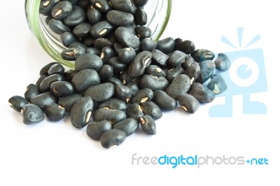 Black Beans In A Bottle On White Background Stock Photo