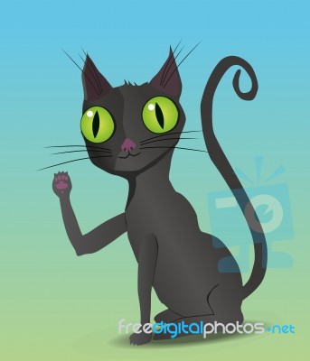 Black Cat Stock Image