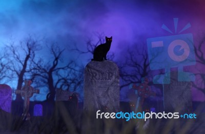 Black Cats In Cemetery,conceptual Background For Halloween Stock Image