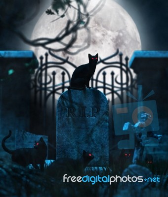 Black Cats In Cemetery,conceptual Background For Halloween Stock Image