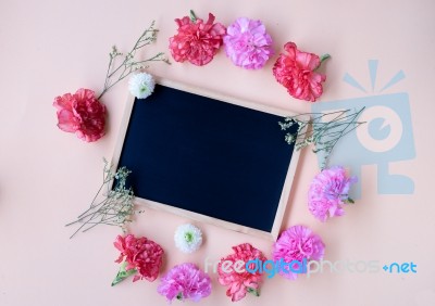 Black Chalk Board With Fresh Carnation Flower On Soft Cream Back… Stock Photo