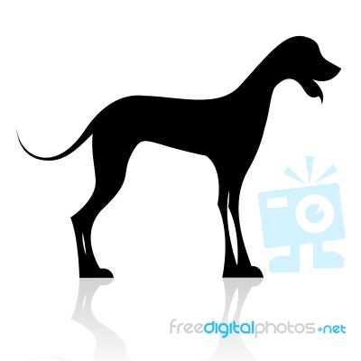 Black Dog Silhouette Stock Image