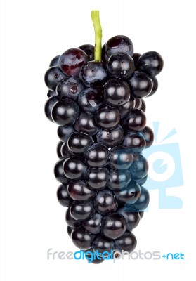 Black Grape Isolated On The White Background Stock Photo