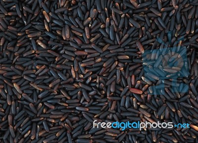 Black Rice Stock Photo