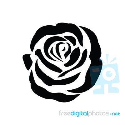 Black Silhouette Of Rose Stock Image