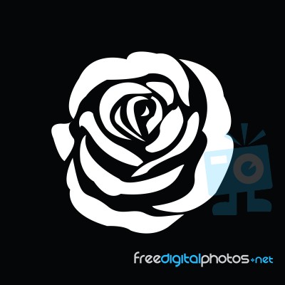 Black Silhouette Of Rose Stock Image