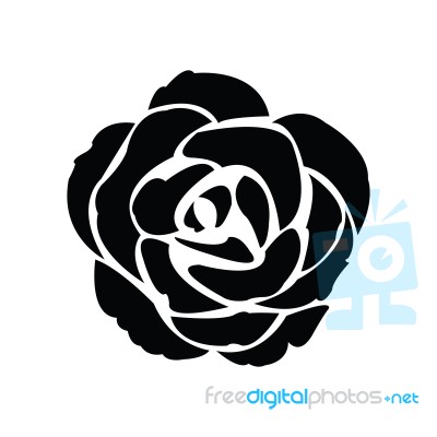 Black Silhouette Of Rose Stock Image