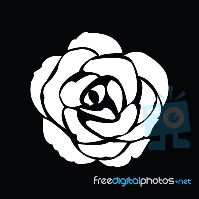 Black Silhouette Of Rose Stock Image