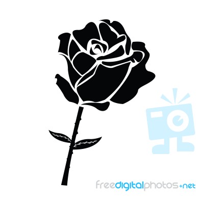 Black Silhouette Of Rose Stock Image