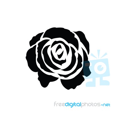 Black Silhouette Of Rose Stock Image