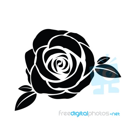 Black Silhouette Of Rose With Leaves Stock Image