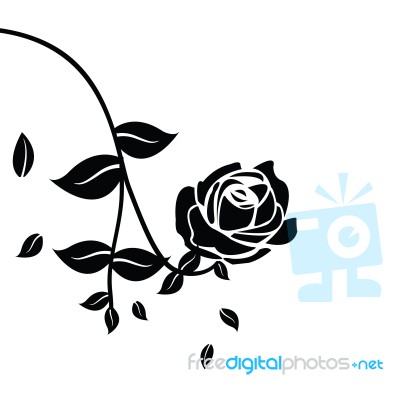 Black Silhouette Of Rose With Leaves Stock Image