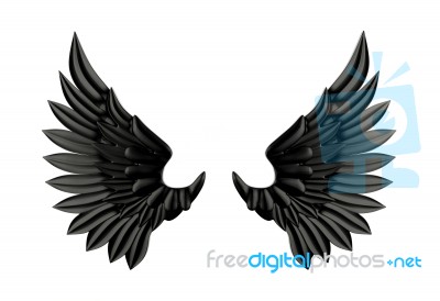 Black Wing Isolated Stock Image