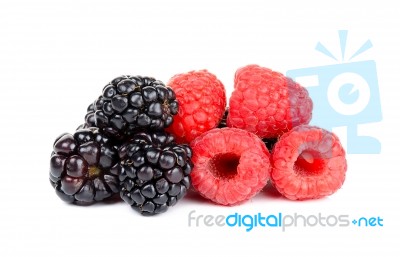 Blackberry And Raspberry Isolated Stock Photo