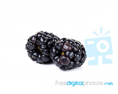 Blackberry Isolated On White Background Stock Photo