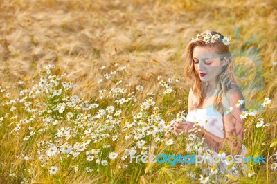 Blond Girl On The Camomile Field Stock Photo