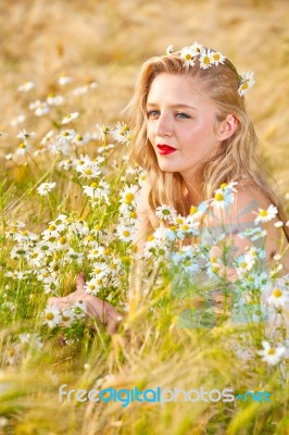 Blond Girl On The Camomile Field Stock Photo