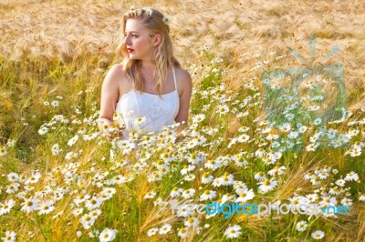 Blond Girl On The Camomile Field Stock Photo