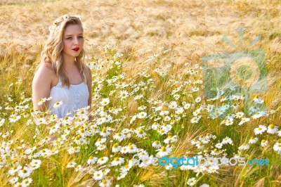 Blond Girl On The Camomile Field Stock Photo