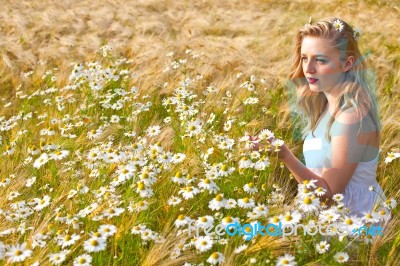 Blond Girl On The Camomile Field Stock Photo